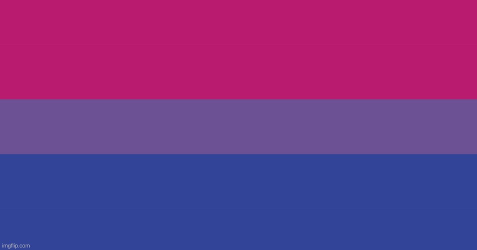 Bisexual flag | image tagged in bisexual flag | made w/ Imgflip meme maker