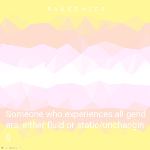 Pangender | made w/ Imgflip meme maker