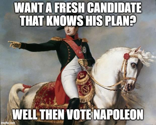 He will take over half of Europe for us | WANT A FRESH CANDIDATE THAT KNOWS HIS PLAN? WELL THEN VOTE NAPOLEON | image tagged in napoleon bonaparte | made w/ Imgflip meme maker
