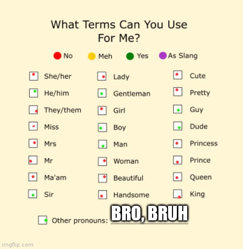 Pronouns Sheet | BRO, BRUH | image tagged in pronouns sheet | made w/ Imgflip meme maker