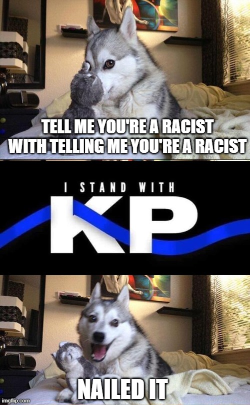 TELL ME YOU'RE A RACIST WITH TELLING ME YOU'RE A RACIST; NAILED IT | image tagged in memes,bad pun dog | made w/ Imgflip meme maker