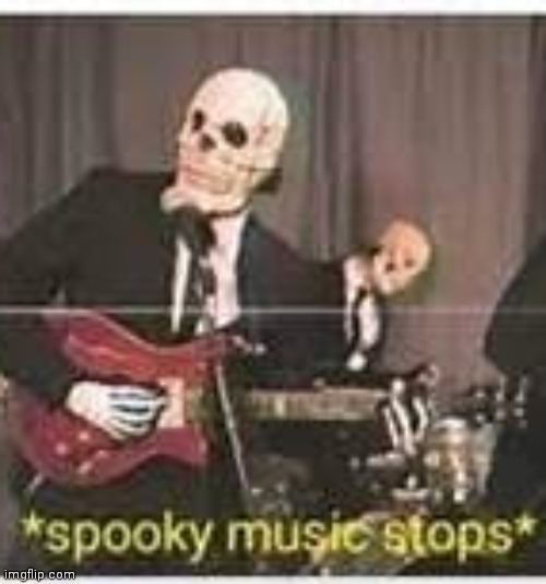 spooky music stops | image tagged in spooky music stops | made w/ Imgflip meme maker