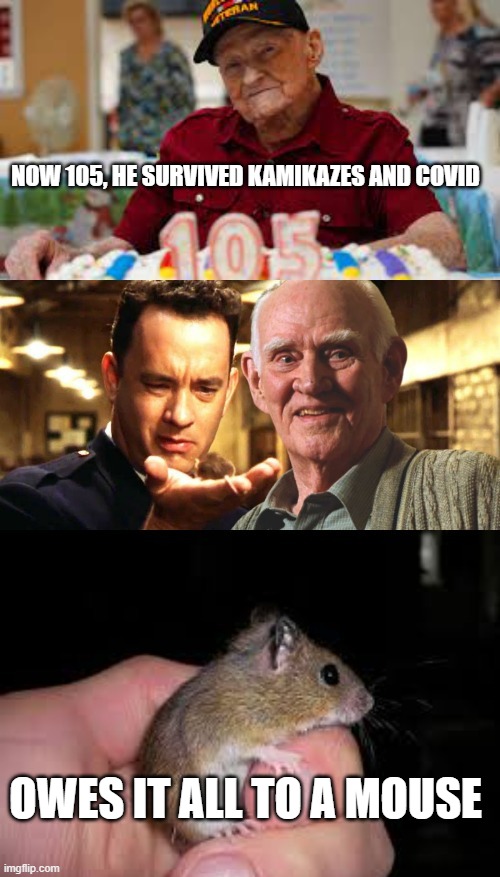 Owes It All to a Mouse |  NOW 105, HE SURVIVED KAMIKAZES AND COVID; OWES IT ALL TO A MOUSE | image tagged in survivor,covid,the green mile | made w/ Imgflip meme maker