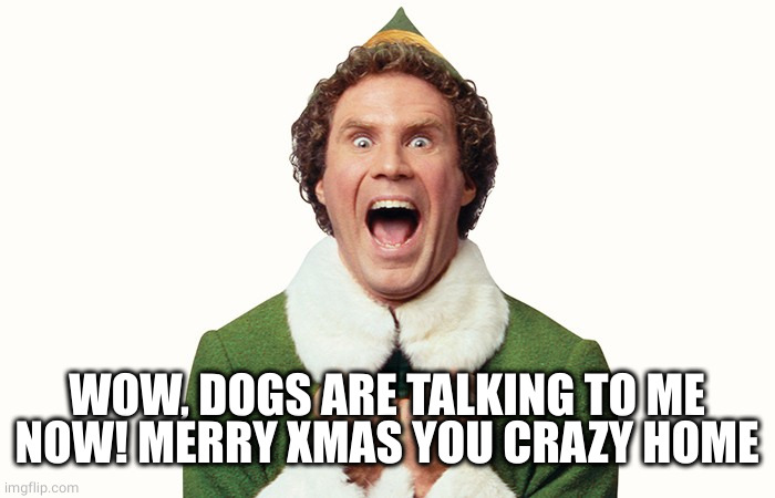 Buddy the elf excited | WOW, DOGS ARE TALKING TO ME NOW! MERRY XMAS YOU CRAZY HOME | image tagged in buddy the elf excited | made w/ Imgflip meme maker