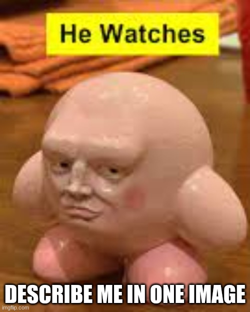 he watches | DESCRIBE ME IN ONE IMAGE | image tagged in he watches | made w/ Imgflip meme maker