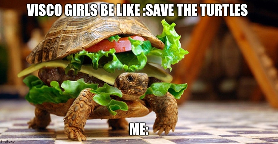 Hide this | VISCO GIRLS BE LIKE :SAVE THE TURTLES; ME: | image tagged in barney will eat all of your delectable biscuits | made w/ Imgflip meme maker