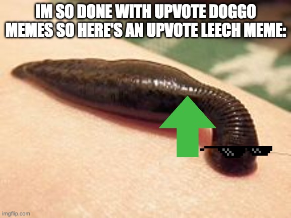 *blood left the chat* | IM SO DONE WITH UPVOTE DOGGO MEMES SO HERE'S AN UPVOTE LEECH MEME: | image tagged in blood,upvote,fish,imgflip,bugs | made w/ Imgflip meme maker