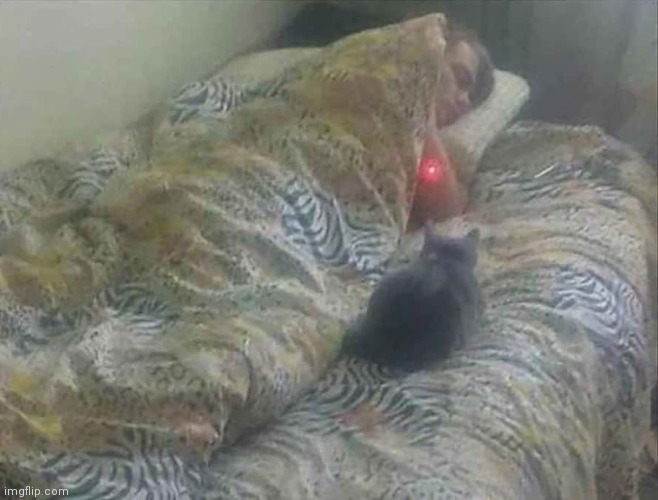 Red Dot Teen | image tagged in red dot teen | made w/ Imgflip meme maker