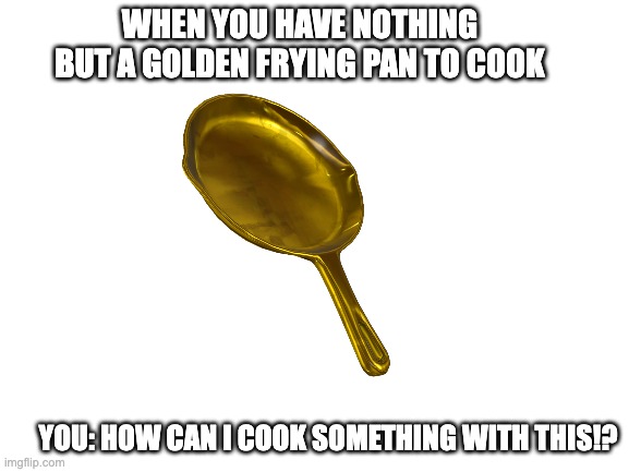the golden pan cooker | WHEN YOU HAVE NOTHING BUT A GOLDEN FRYING PAN TO COOK; YOU: HOW CAN I COOK SOMETHING WITH THIS!? | image tagged in blank white template,oven | made w/ Imgflip meme maker