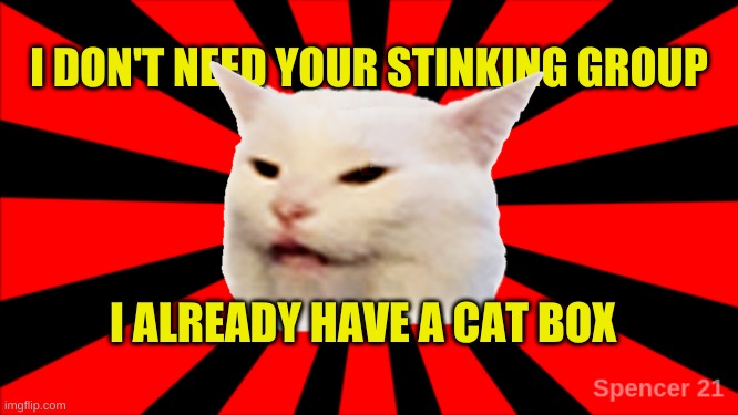 SmudgeBurst Your Stinking Group |  I ALREADY HAVE A CAT BOX | image tagged in smudgeburst your stinking group,smudge the cat,smudge,grumpy cat,social media,group | made w/ Imgflip meme maker