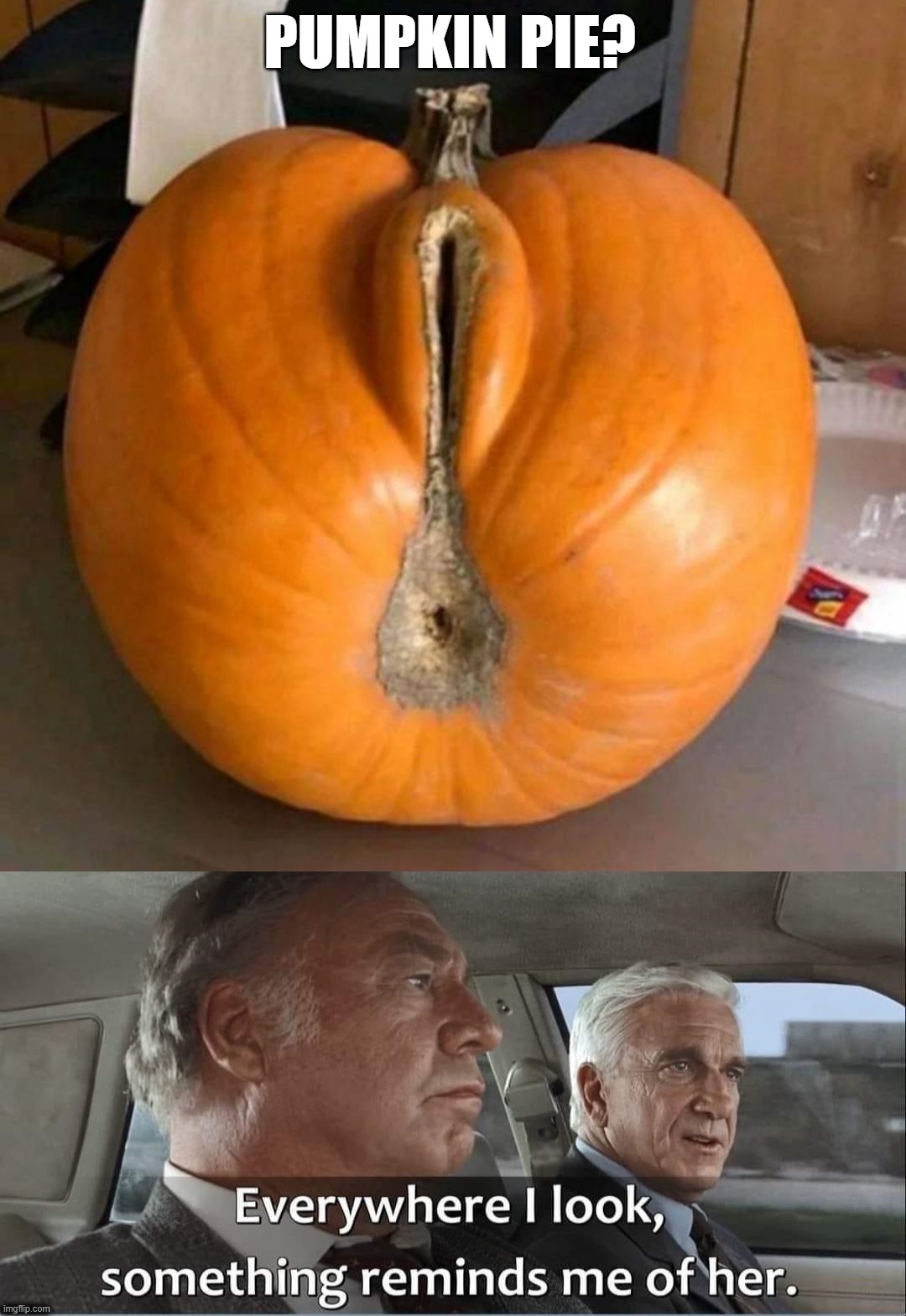 PUMPKIN PIE? .......... | image tagged in pumpkin pie,reminder | made w/ Imgflip meme maker