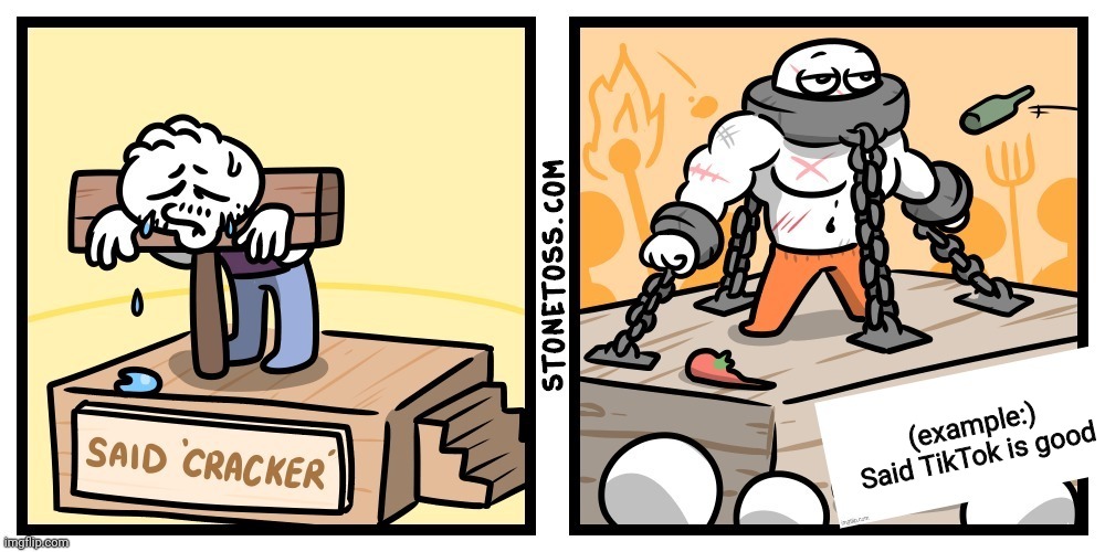 Said x | (example:) Said TikTok is good | image tagged in said x | made w/ Imgflip meme maker