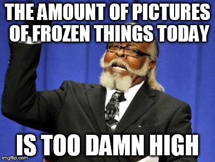 Too Damn High Meme | THE AMOUNT OF PICTURES OF FROZEN THINGS TODAY IS TOO DAMN HIGH | image tagged in memes,too damn high | made w/ Imgflip meme maker