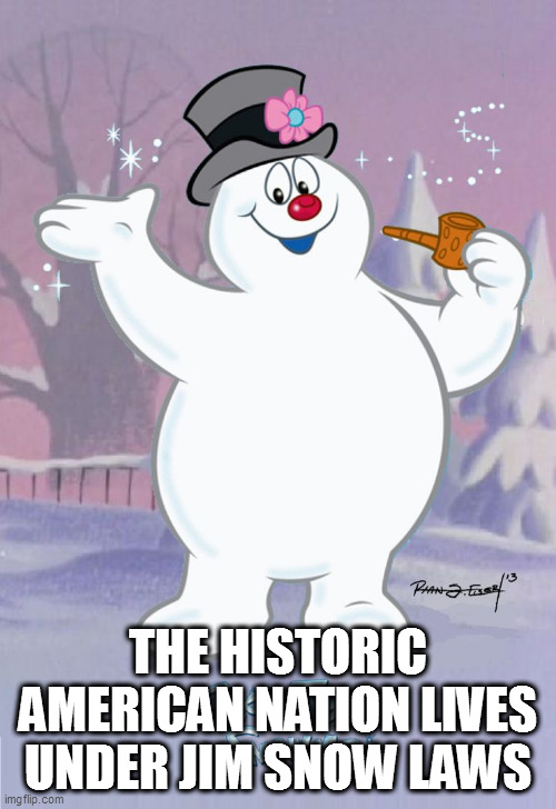Jim Snow | THE HISTORIC AMERICAN NATION LIVES UNDER JIM SNOW LAWS | image tagged in frosty the snowman,officer potter,jim snow,jim crow,second class citizens,two tiered justice system | made w/ Imgflip meme maker
