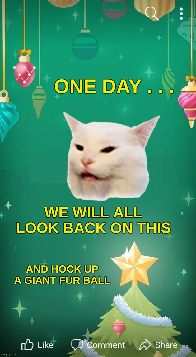 ONE DAY . . . WE WILL ALL LOOK BACK ON THIS; AND HOCK UP A GIANT FUR BALL | image tagged in smudge,smudge the cat,christmas,merry christmas,i should buy a boat cat,memories | made w/ Imgflip meme maker