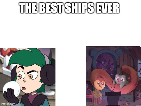 The best | THE BEST SHIPS EVER | image tagged in blank white template | made w/ Imgflip meme maker