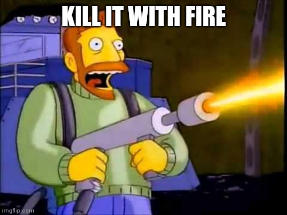Kill it with fire | KILL IT WITH FIRE | image tagged in kill it with fire | made w/ Imgflip meme maker