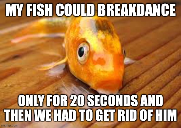 Apparently they can dance out of the water | MY FISH COULD BREAKDANCE; ONLY FOR 20 SECONDS AND THEN WE HAD TO GET RID OF HIM | made w/ Imgflip meme maker