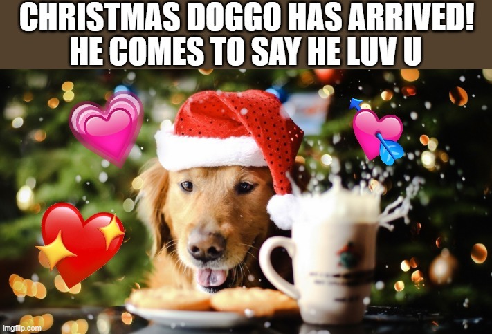 he come to say he luv u | image tagged in doggo,wholesome,christmas,i love you | made w/ Imgflip meme maker