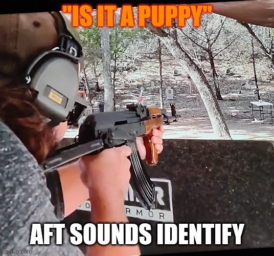 "IS IT A PUPPY"; AFT SOUNDS IDENTIFY | made w/ Imgflip meme maker