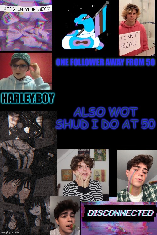 harley. | ONE FOLLOWER AWAY FROM 50; ALSO WOT SHUD I DO AT 50 | image tagged in harley | made w/ Imgflip meme maker