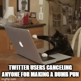 A random gif with a cat - Imgflip