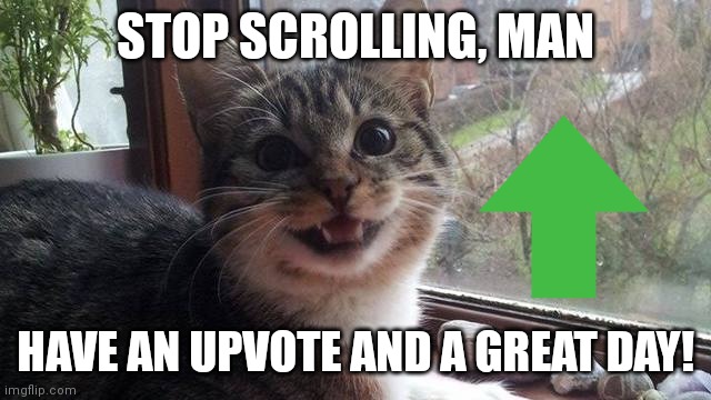 Smiling Cat | STOP SCROLLING, MAN; HAVE AN UPVOTE AND A GREAT DAY! | image tagged in smiling cat | made w/ Imgflip meme maker