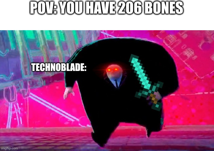 like if u understand | POV: YOU HAVE 206 BONES; TECHNOBLADE: | image tagged in technoblade | made w/ Imgflip meme maker