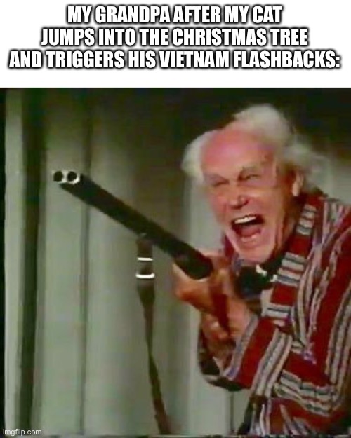 Merry Christmas mfs | MY GRANDPA AFTER MY CAT JUMPS INTO THE CHRISTMAS TREE AND TRIGGERS HIS VIETNAM FLASHBACKS: | image tagged in old man with gun | made w/ Imgflip meme maker