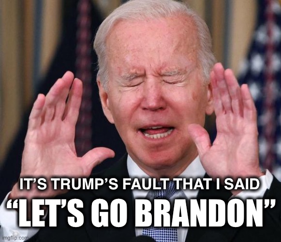 He just told himself to go F* himself! | “LET’S GO BRANDON”; IT’S TRUMP’S FAULT THAT I SAID | image tagged in biden stop | made w/ Imgflip meme maker