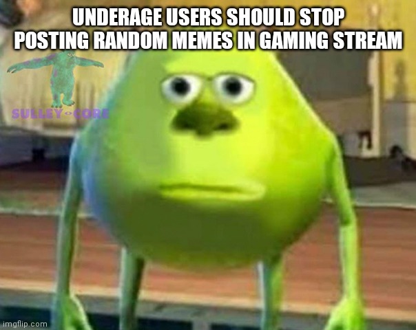 Monsters Inc | UNDERAGE USERS SHOULD STOP POSTING RANDOM MEMES IN GAMING STREAM | image tagged in monsters inc | made w/ Imgflip meme maker