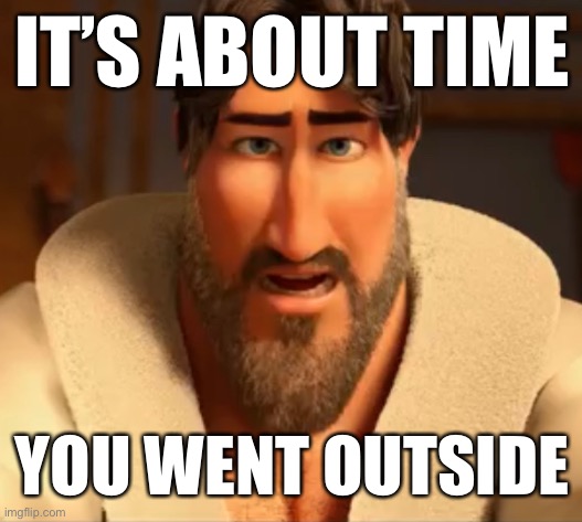 IT’S ABOUT TIME YOU WENT OUTSIDE | made w/ Imgflip meme maker