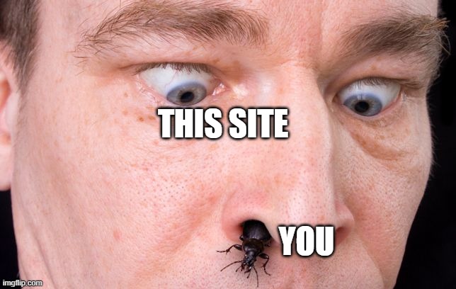THIS SITE YOU | made w/ Imgflip meme maker