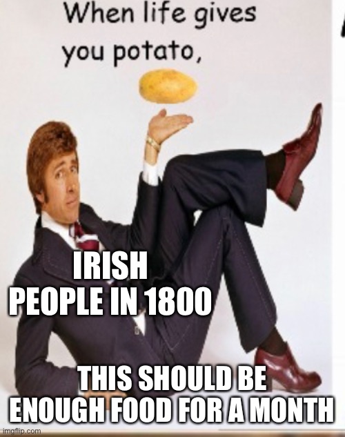 It was a rough life | IRISH PEOPLE IN 1800; THIS SHOULD BE ENOUGH FOOD FOR A MONTH | image tagged in ireland,potato | made w/ Imgflip meme maker