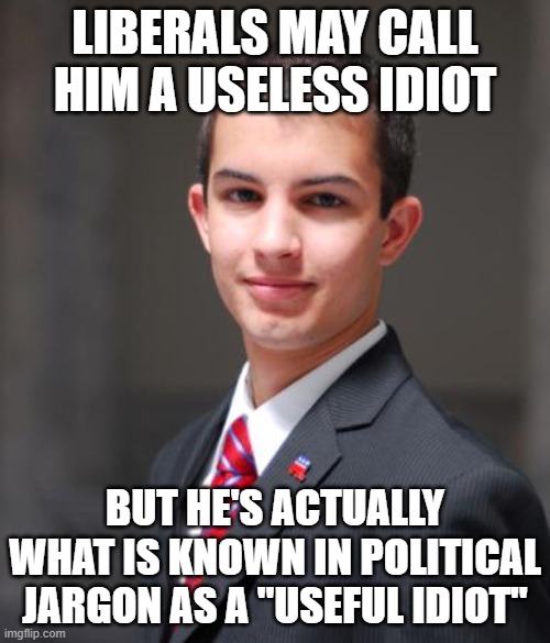 Most Of The Memes In The Politics Stream Are Made By "Useful Idiots" | LIBERALS MAY CALL HIM A USELESS IDIOT; BUT HE'S ACTUALLY WHAT IS KNOWN IN POLITICAL JARGON AS A "USEFUL IDIOT" | image tagged in college conservative,useless,idiot,propaganda,sheeple,parrot | made w/ Imgflip meme maker