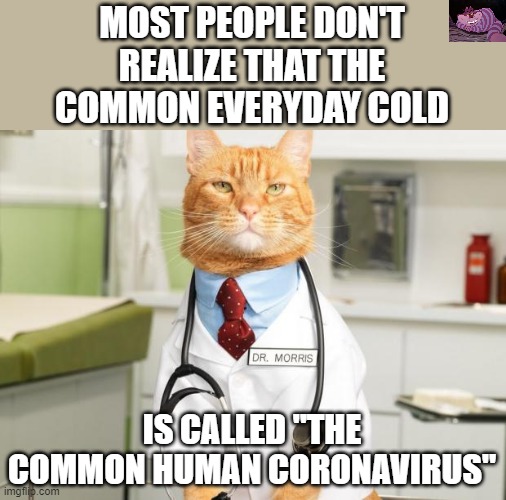 It surprisingly has the same symptoms as the Omicron variant. | MOST PEOPLE DON'T REALIZE THAT THE COMMON EVERYDAY COLD; IS CALLED "THE COMMON HUMAN CORONAVIRUS" | image tagged in cat doctor | made w/ Imgflip meme maker