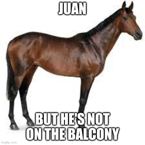 juan | JUAN; BUT HE'S NOT ON THE BALCONY | image tagged in juan,horse,horses,memes,stop reading the tags,i said stop reading the tags | made w/ Imgflip meme maker