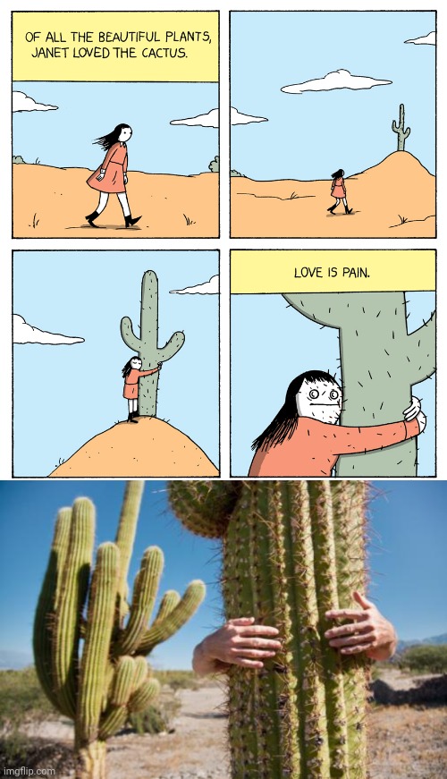 Cactus love | image tagged in cactus love,cactus,comics/cartoons,comics,comic,memes | made w/ Imgflip meme maker