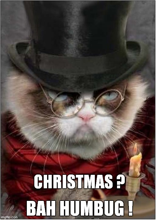 Grumpy Scrooge ! | CHRISTMAS ? BAH HUMBUG ! | image tagged in cats,grumpy cat,scrooge,bah humbug | made w/ Imgflip meme maker