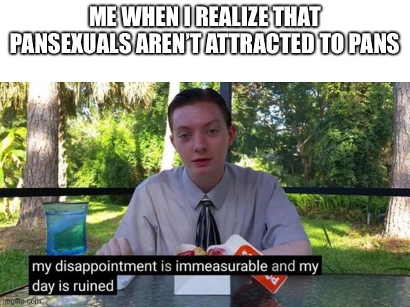 My day is ruined | ME WHEN I REALIZE THAT PANSEXUALS AREN’T ATTRACTED TO PANS | image tagged in my day is ruined | made w/ Imgflip meme maker