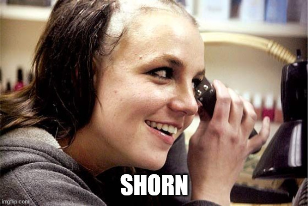 Britney Spears shaved head | SHORN | image tagged in britney spears shaved head | made w/ Imgflip meme maker