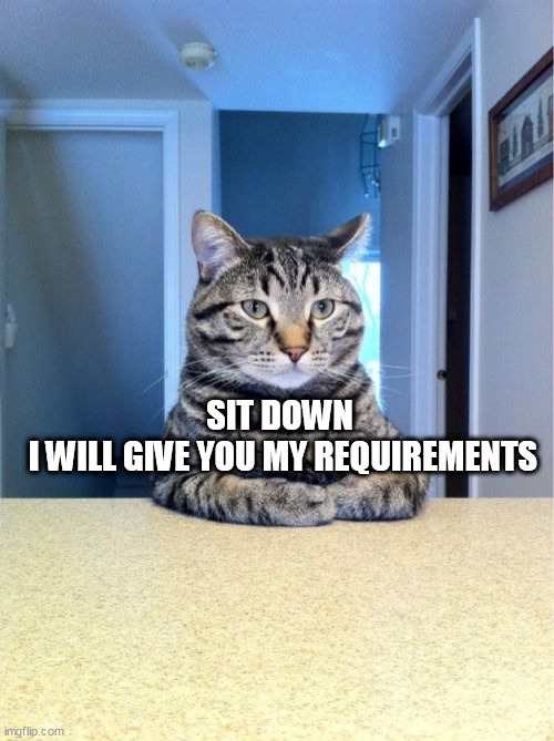 Take A Seat Cat | SIT DOWN 
 I WILL GIVE YOU MY REQUIREMENTS | image tagged in memes,take a seat cat | made w/ Imgflip meme maker