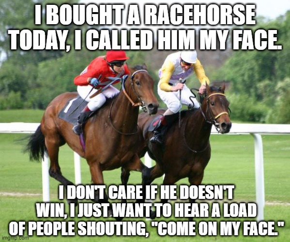 Go Horse! | I BOUGHT A RACEHORSE TODAY, I CALLED HIM MY FACE. I DON'T CARE IF HE DOESN'T WIN, I JUST WANT TO HEAR A LOAD OF PEOPLE SHOUTING, "COME ON MY FACE." | image tagged in two horses racing | made w/ Imgflip meme maker