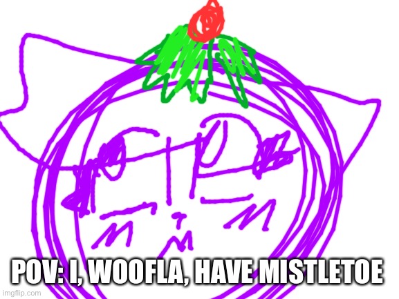 Watcha gonna do | POV: I, WOOFLA, HAVE MISTLETOE | image tagged in blank white template | made w/ Imgflip meme maker