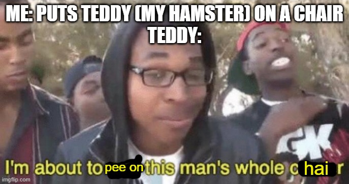 DARN IT TEDDY | ME: PUTS TEDDY (MY HAMSTER) ON A CHAIR
TEDDY:; hai; pee on | image tagged in i m about to end this man s whole career | made w/ Imgflip meme maker