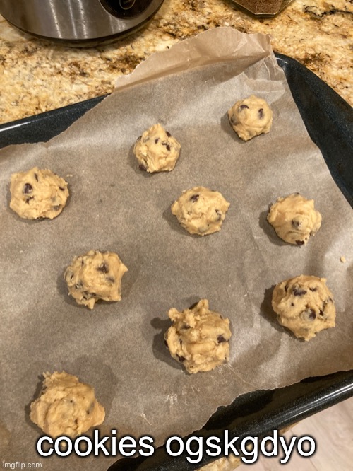:d | cookies ogskgdyo | made w/ Imgflip meme maker