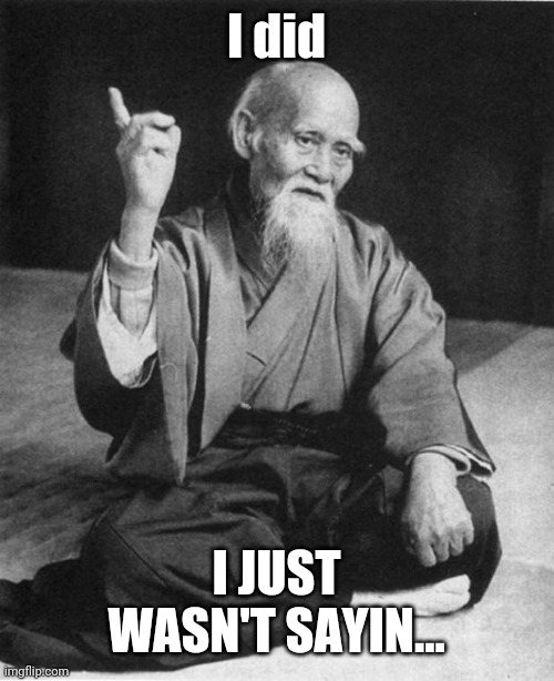 Wise Master | I did I JUST WASN'T SAYIN... | image tagged in wise master | made w/ Imgflip meme maker