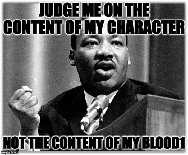 judge me on the content of my character | JUDGE ME ON THE CONTENT OF MY CHARACTER; NOT THE CONTENT OF MY BLOOD1 | image tagged in coronavirus | made w/ Imgflip meme maker