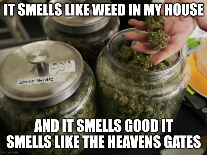 so good yet im now fiending | IT SMELLS LIKE WEED IN MY HOUSE; AND IT SMELLS GOOD IT SMELLS LIKE THE HEAVENS GATES | made w/ Imgflip meme maker