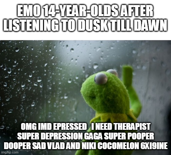 i hate my girl classmates for this smh | EMO 14-YEAR-OLDS AFTER LISTENING TO DUSK TILL DAWN; OMG IMD EPRESSED   I NEED THERAPIST SUPER DEPRESSION GAGA SUPER POOPER DOOPER SAD VLAD AND NIKI COCOMELON 6XI9INE | image tagged in kermit window | made w/ Imgflip meme maker